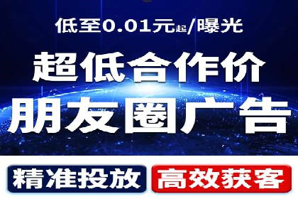 竞价广告的投放策略调整：基于数据反馈的实战案例